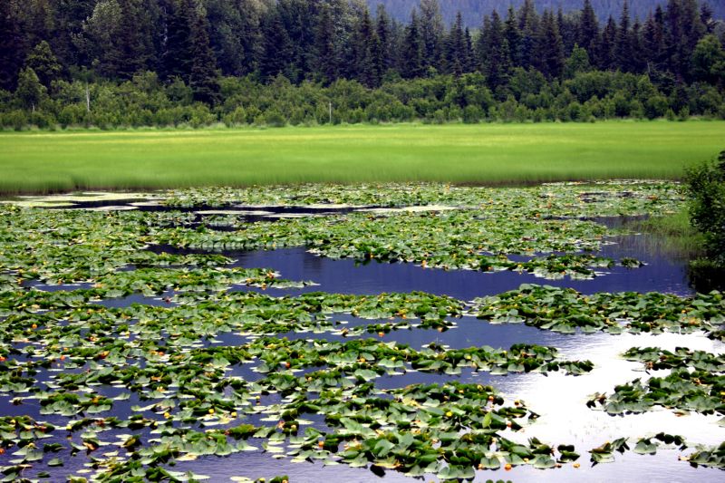 070304 Hope Seward Hope (10106)